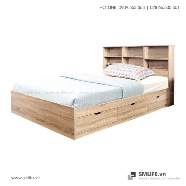 Giường ngủ gỗ hiện đại Selena (1)
