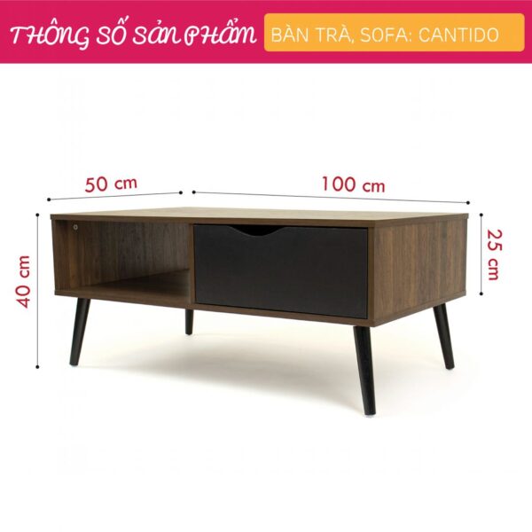 Bàn-trà-gỗ-hiện-đại-Cantido