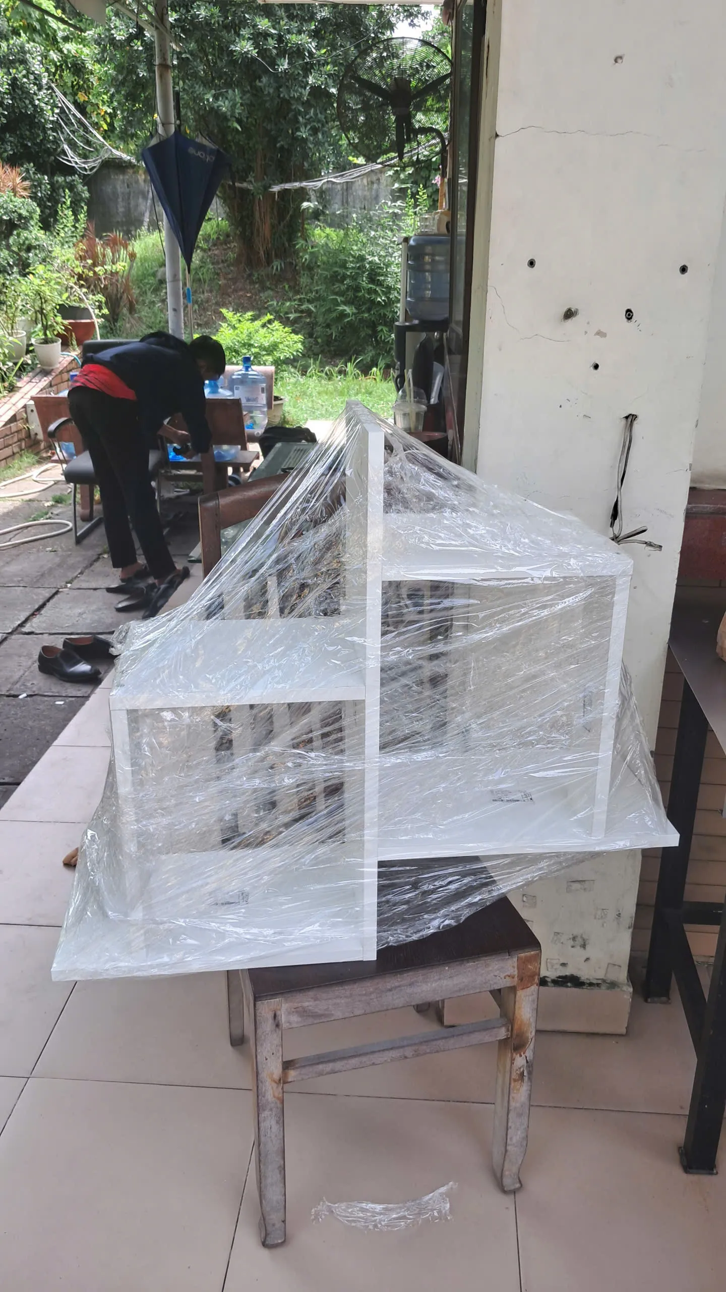Web Web