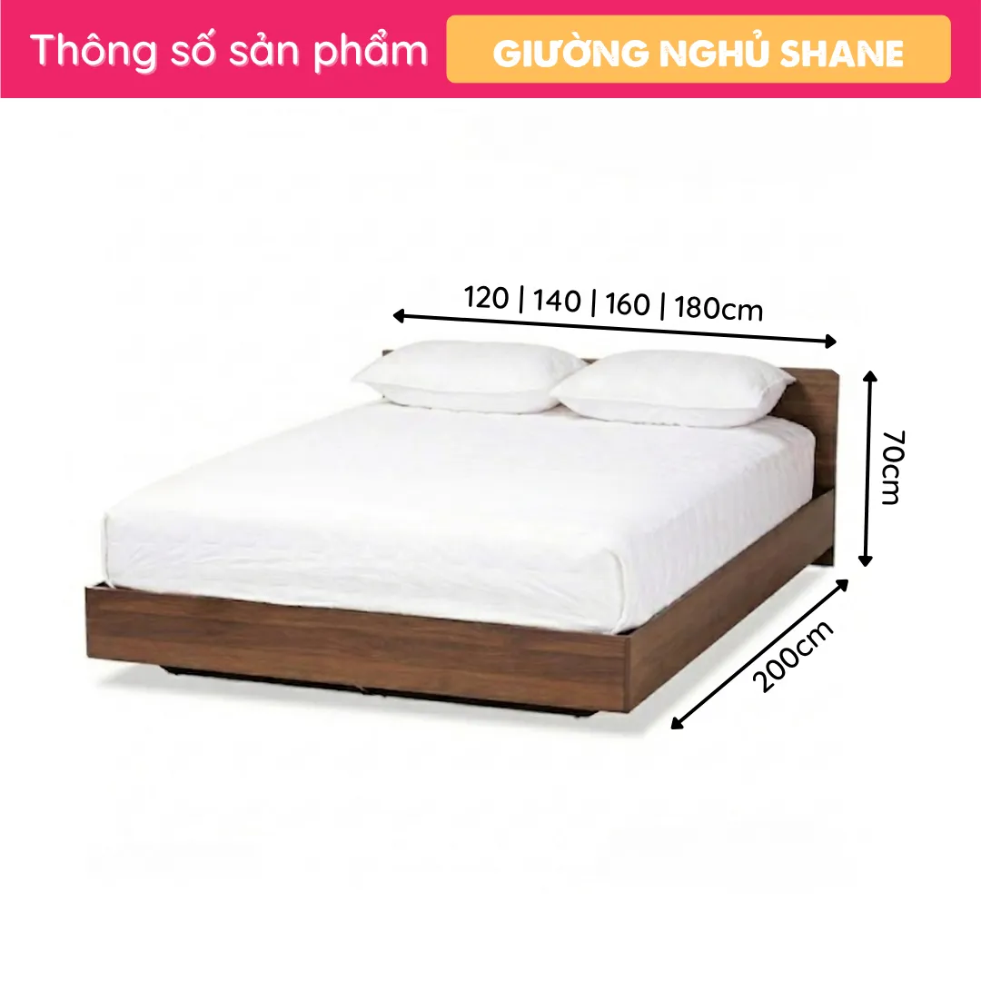 Shane TS Giường ngủ hiện đại thiết kế linh hoạt Shane - Ảnh 2
