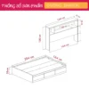 Sharon TS Giường hộp có ngăn kéo tiện lợi Sharon - Ảnh 2