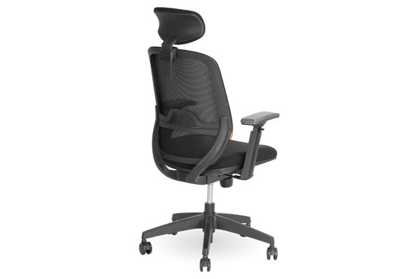 ghe Ergonomic Office Chair Elegant T21 mau den