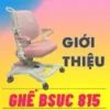 Giới thiệu ghế chống gù cho bé BSUC 815