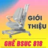 Giới thiệu ghế chống gù cho bé BSUC 818