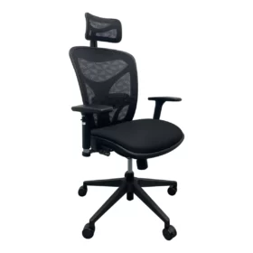 Ghế Công Thái Học Ergonomic B-601 (2)