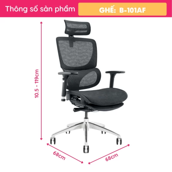 Ghế Công Thái Học Ergonomic Có Để Chân B-101AF (3)