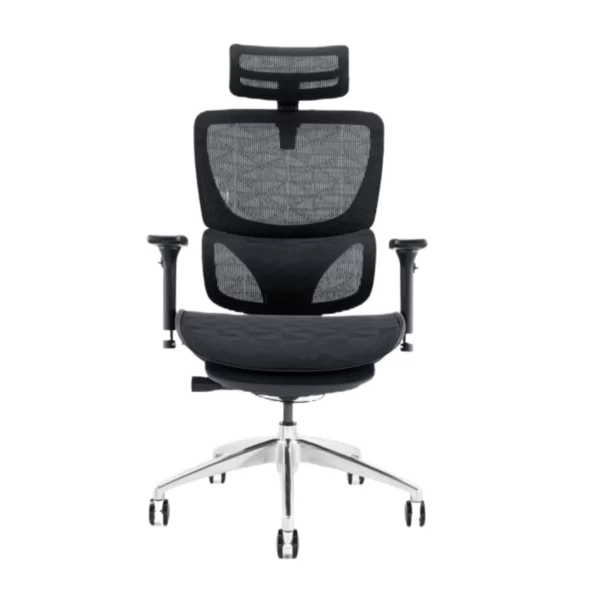 Ghế Công Thái Học Ergonomic Có Để Chân B-101AF (4)