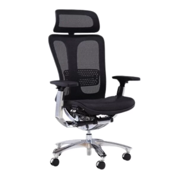 Ghế công thái học Ergonomic Bchair B-901 (2)