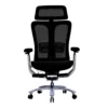 Ghế công thái học Ergonomic Bchair B-901 (3)