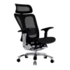 Ghế công thái học Ergonomic Bchair B-901 (4)