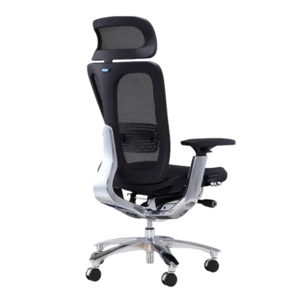 Ghế công thái học Ergonomic Bchair B-901 (5)