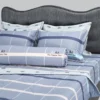 Bo Drap ga trai giuong hien dai Comfort nhieu size CF245 1