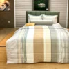 Bo Drap ga trai giuong hien dai Modal nhieu size M06