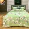 Bo Drap ga trai giuong hien dai Modal nhieu size M10