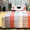 Bo Drap ga trai giuong hien dai Modal nhieu size M52