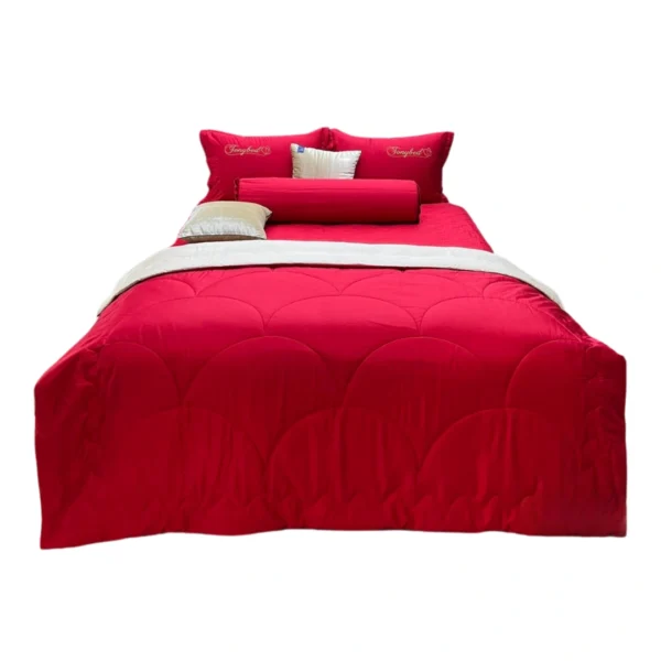 Bo Drap ga trai giuong hien dai Tencel Mau nhieu size TCM28 1