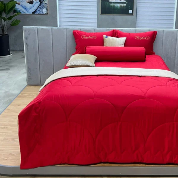 Bo Drap ga trai giuong hien dai Tencel Mau nhieu size TCM28