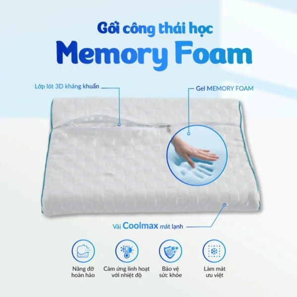 Goi nam Memory Foam MF 4 1