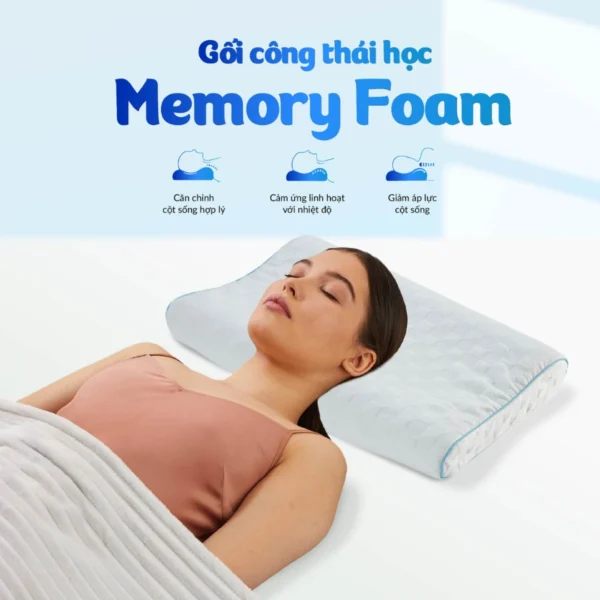 Goi nam Memory Foam MF 5 1