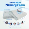 Goi nam Memory Foam MF 6 1