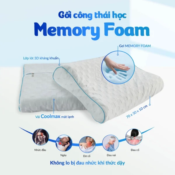 Goi nam Memory Foam MF 6 1