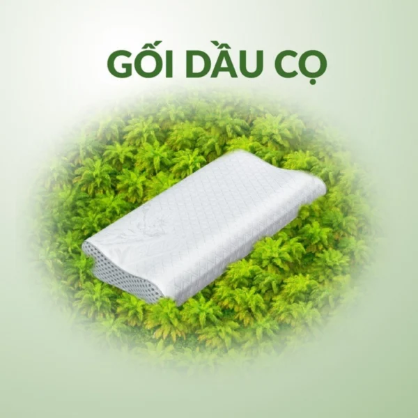 Goi nam cao su dau co CSDC 5 1