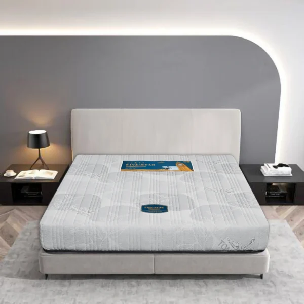 Nem cao su tong hop Five Star Gam Thun nhieu size CSTHFSGT 3 1