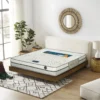 Nem dau co thien nhien Five Star nhieu size DCTNFS 3 1
