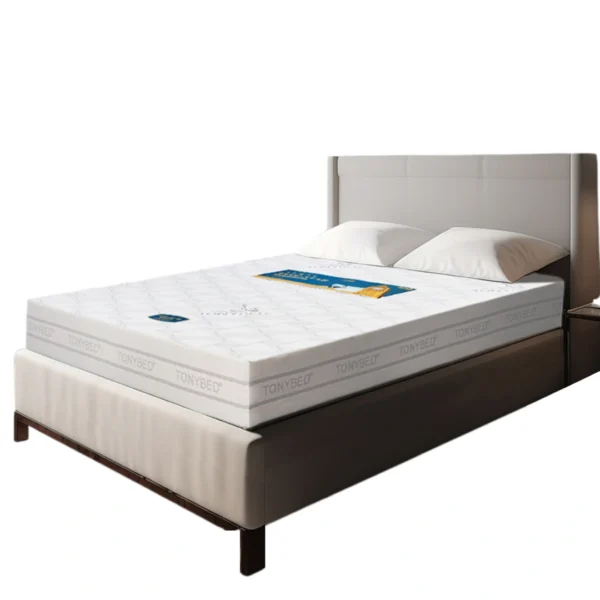 Nem thong hoi Five Star nhieu size THFS