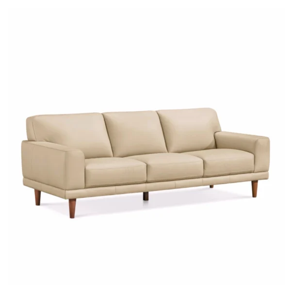 Ghế sofa văng bọc da sang trọng ZAIDA (4)