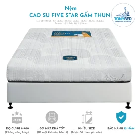 Nệm cao su tổng hợp Five Star Gấm Thun AMEN