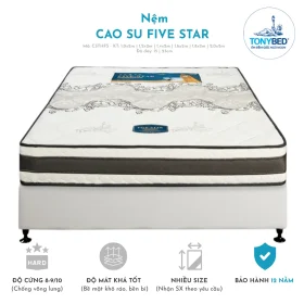 Nệm cao su tổng hợp Five Star STEM