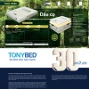Nem dau co thien nhien Five Star nhieu size DCTNFS 2 Nệm dầu cọ thiên nhiên Five Star AURA - Ảnh 3