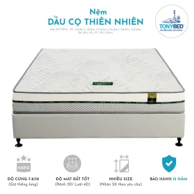 Nệm dầu cọ thiên nhiên Five Star AURA