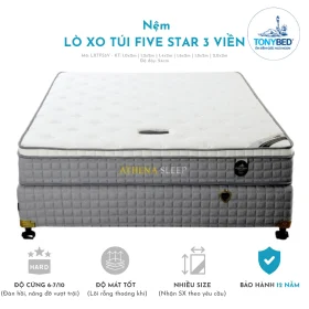 Nệm lò xo túi Five Star 3 viền ECHO